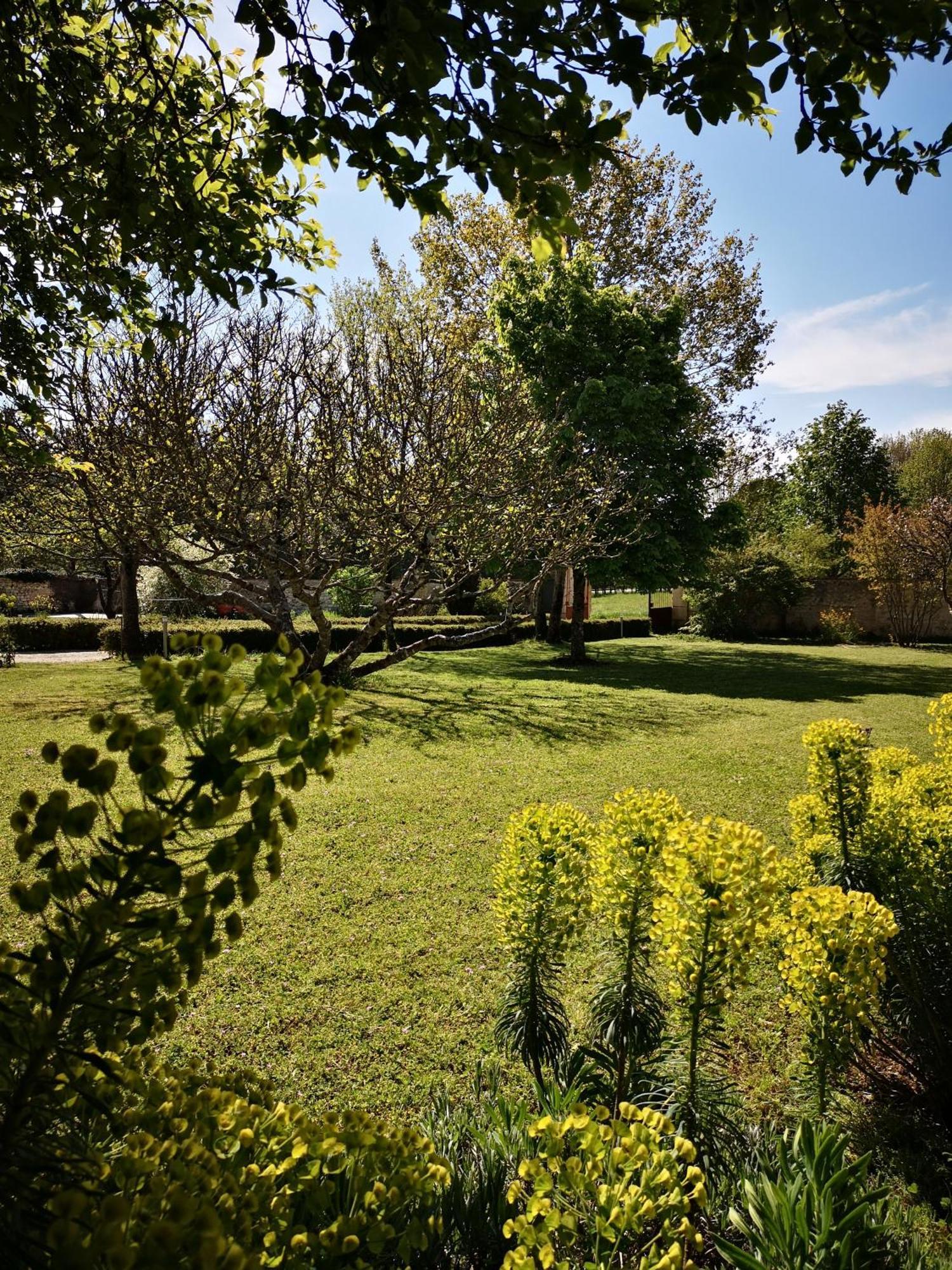 La Burie Bed and Breakfast Saint-Savinien Esterno foto